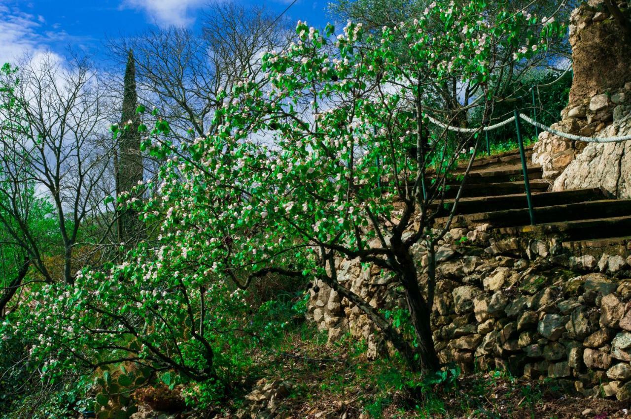 Bed and Breakfast Mas De Font Chaude Clermont-lʼHérault Exterior foto