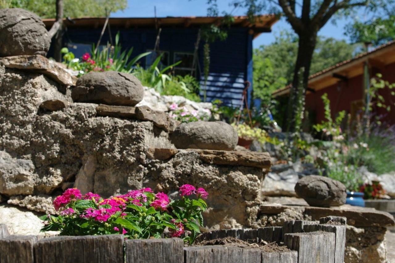 Bed and Breakfast Mas De Font Chaude Clermont-lʼHérault Exterior foto